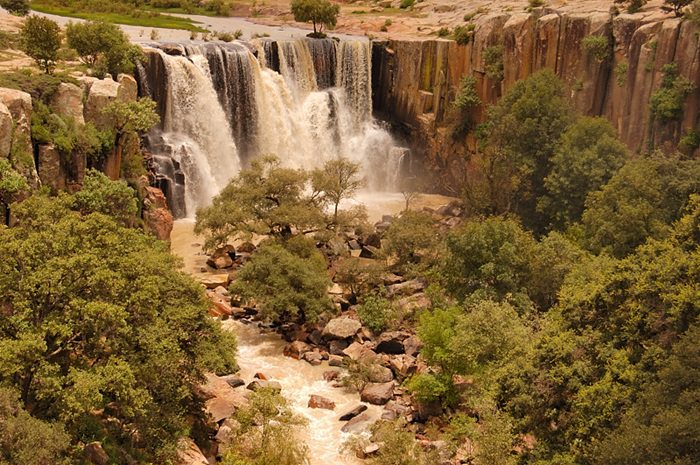 82710408.08myNUec.image0016