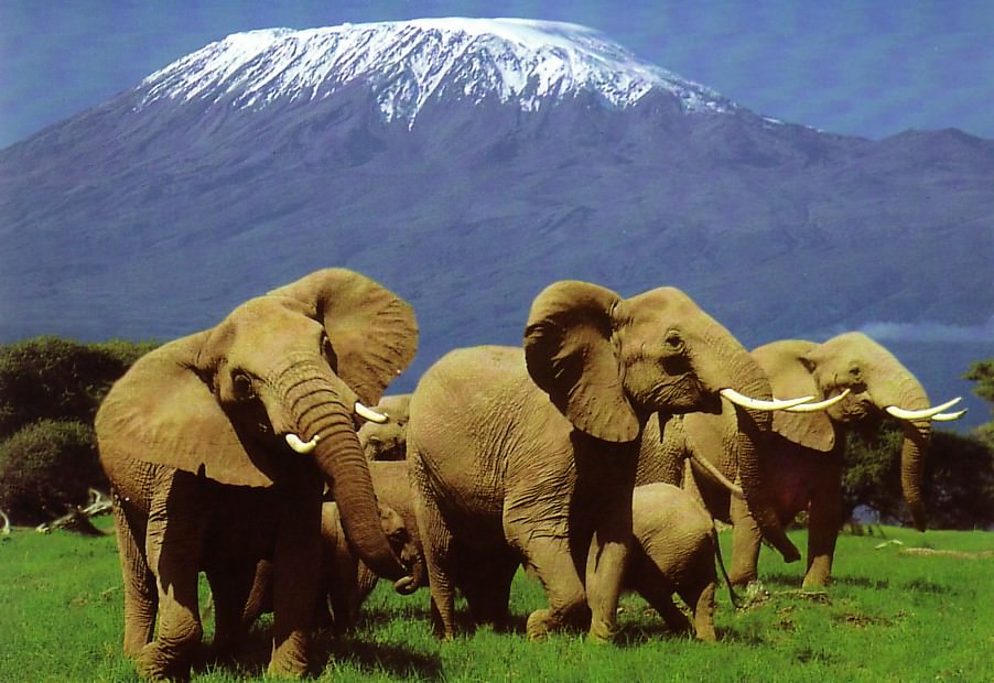 kenya3