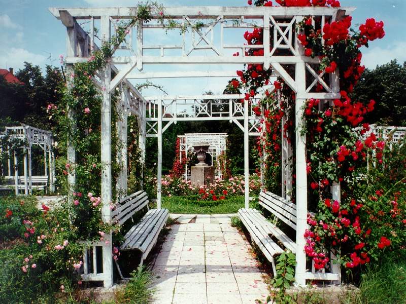 parcul-rozelor-timisoara