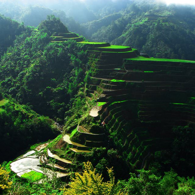 Banaue-Rice-Terraces-Philippines