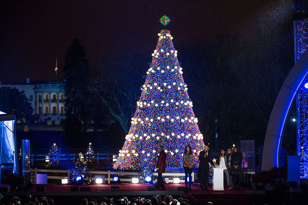 National-Christmas-tree-in-Washington-D.C.