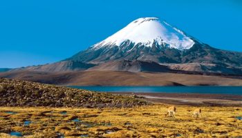 chile (1)
