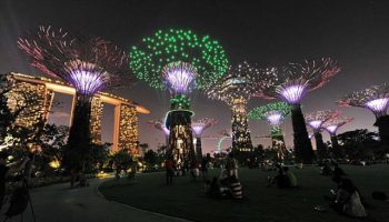 copaci_singapore