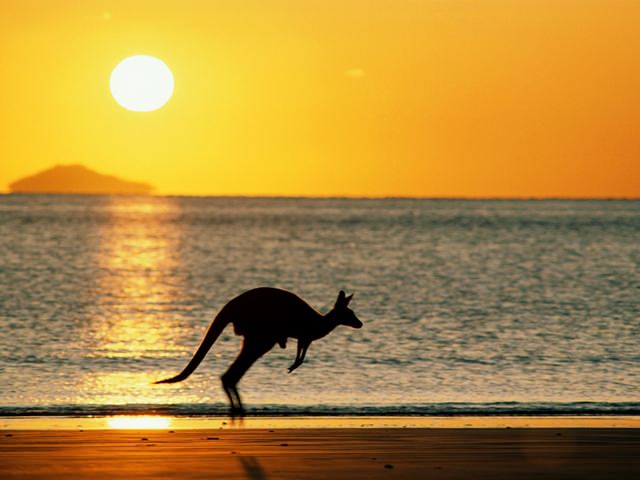 mistere-nestiute-australia (7)