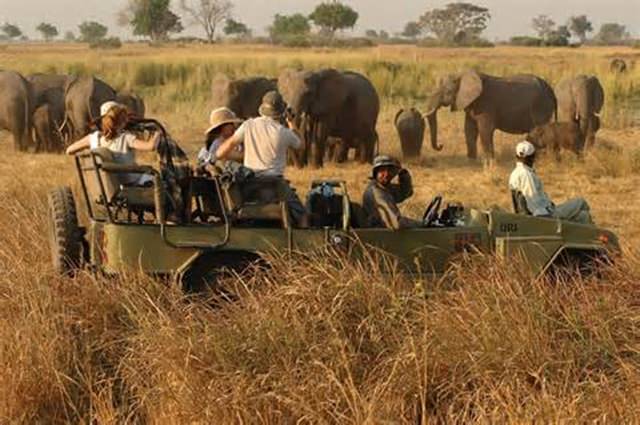 vacanta-botswana (2)