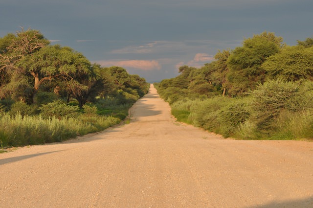 vacanta-botswana (3)