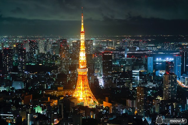 vacanta-tokyo (1)