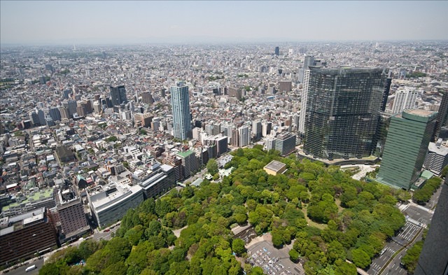 vacanta-tokyo (10)