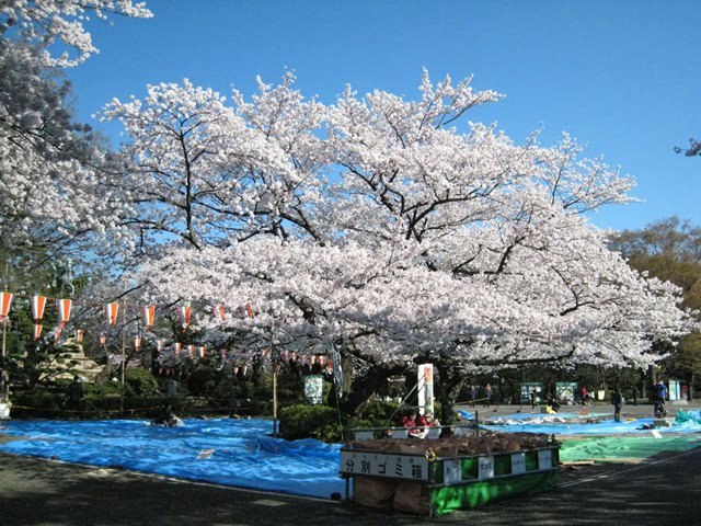vacanta-tokyo (9)
