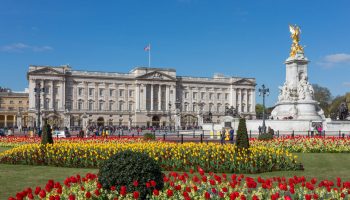 buckingham 4