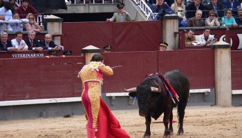 matador