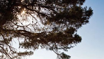 hydra-tina-komninou-residence