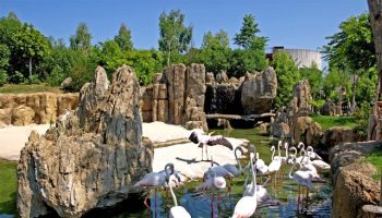 bioparc-valencia (5)