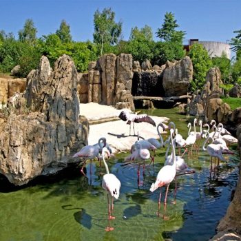 bioparc-valencia (5)