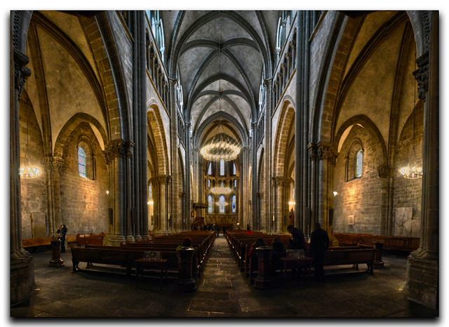 catedrala-saint-pierre-geneva (3)