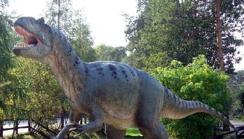 DinoPark-Rasnov-700×375