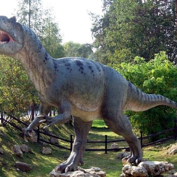 DinoPark-Rasnov-700×375