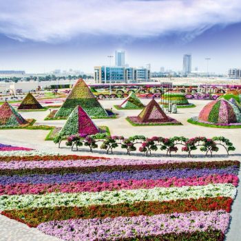 dubaigarden