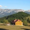 poiana-la-Cheile-Gradistei