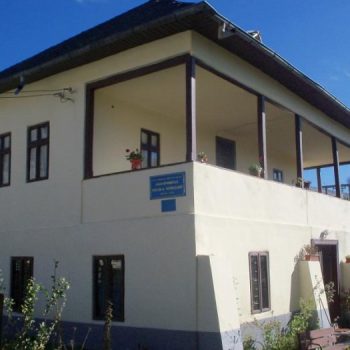 muzeutoparceanu