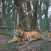 ZooTargu-Mures