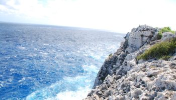 caymanbrac
