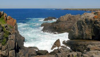 Le côté sauvage de Ile d’Yeu