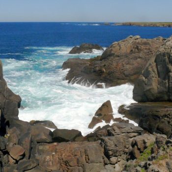 Le côté sauvage de Ile d’Yeu