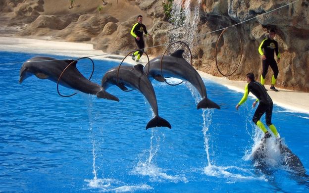loroparque