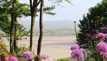 portmeirion5