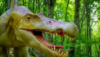 dinoparc2