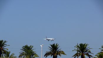 faro3