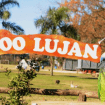zoolujan