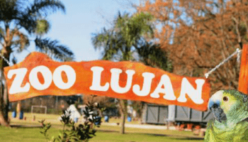 zoolujan
