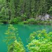 scropoasalake