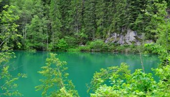 scropoasalake