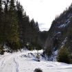 Valea-Narujei