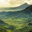 hiking-trip-black-river-gorges-park-half-day (1)