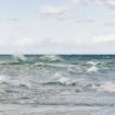 grenen4