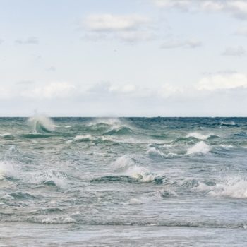 grenen4