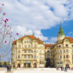 cropped-Palatul_Vulturul_Negru_Primavara.jpg