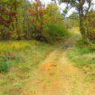 cropped-Rezervatia-Suvara-Sasilor-4.jpg