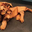 cropped-museo4.jpg
