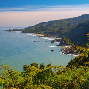 View over Paparoa National Park